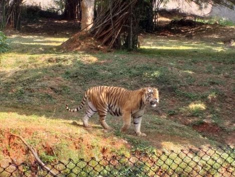Kambalakonda Wildlife Sanctuary_3